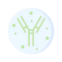 Immunoglobulins