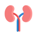 Kidney Disease