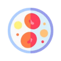 Anemia